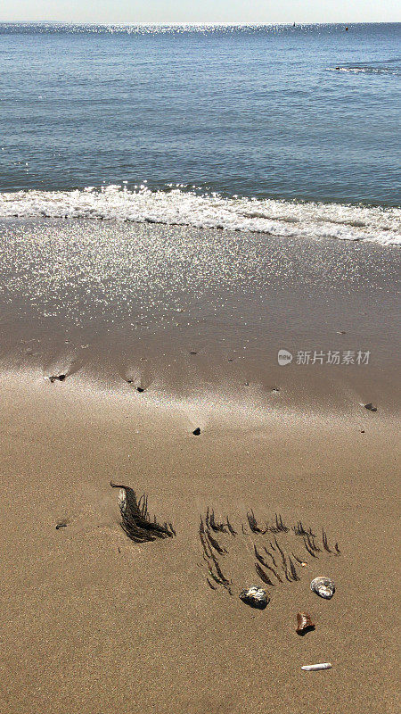 海滩艺术的形象，快乐的怪物美人鱼的脸，用海藻/海藻的头发，贝壳的眼睛，鹅卵石笔记，剃刀蛤壳的嘴和石头在金色的沙子，人鱼的图片旁边的海滨海岸线